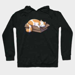 Cat Sleeping In Box Hoodie